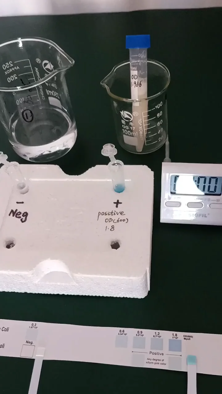 Bacteria Test Kit For Drinking Water Easy To Use Water Quality