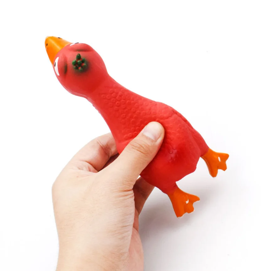 pet chicken toy.png