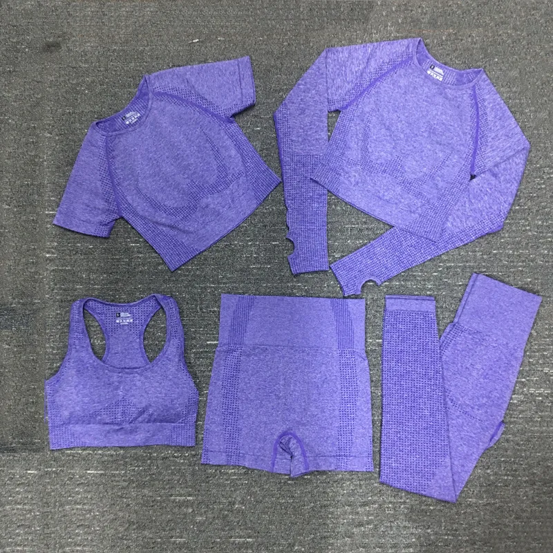 8 Colors Gym Seamless Yoga Set Fitness Sport Suits Gym Set Clothing