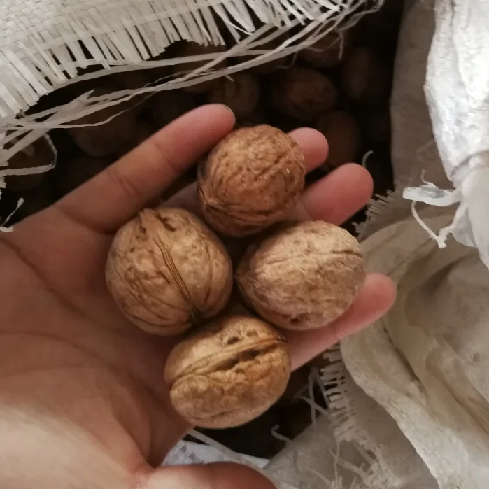 
100% Xinjiang Origin Thin skinned Walnuts 185 variety 