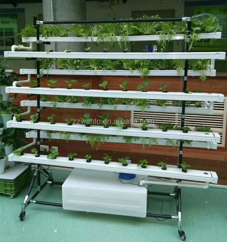 立体水培蔬菜及设备图片