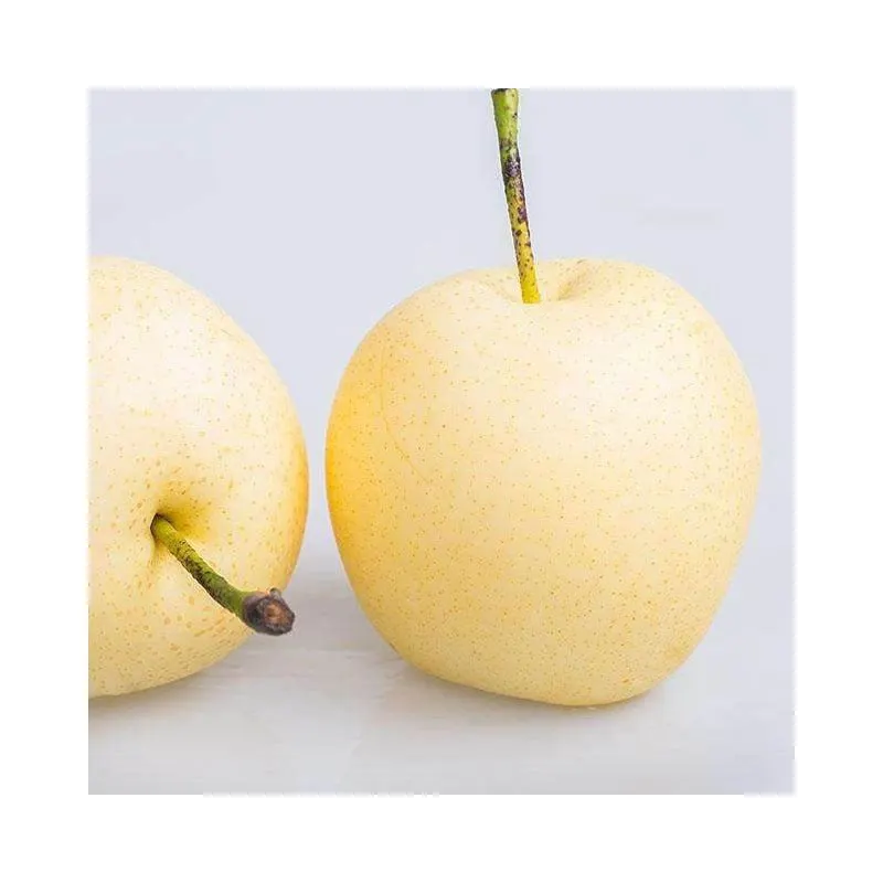 
Supply Chinese Fresh Pear Fruits Snow Asian Pear Super Pear 
