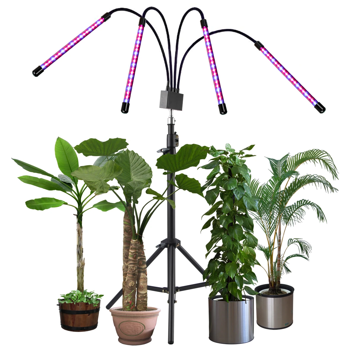 New Design 80W Tripod Stand Grow Light Floor Lamp for Indoor Plants Gardening Houseplants