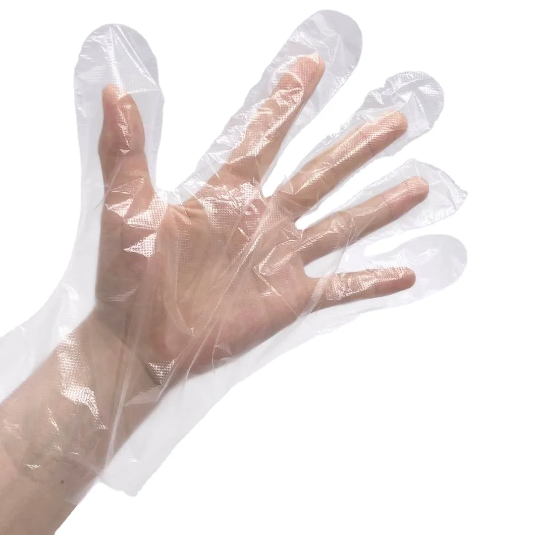 

Disposable plastic gloves cleaning kitchen glove waterproof Biodegradable PE gloves with eyelet, Transparent