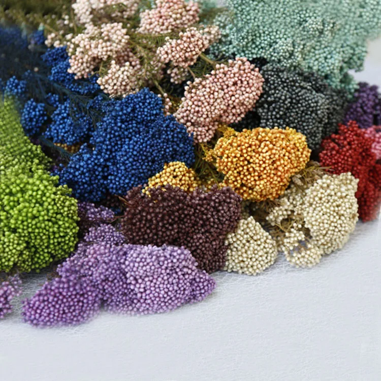Decorative+flowers Low Price And High Quality Natural Preserved Millet