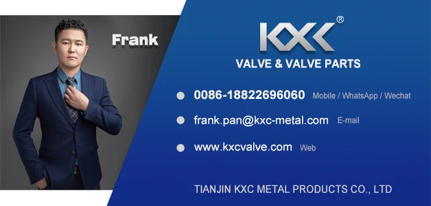 pn16 double disc butterfly type wafer check valve price