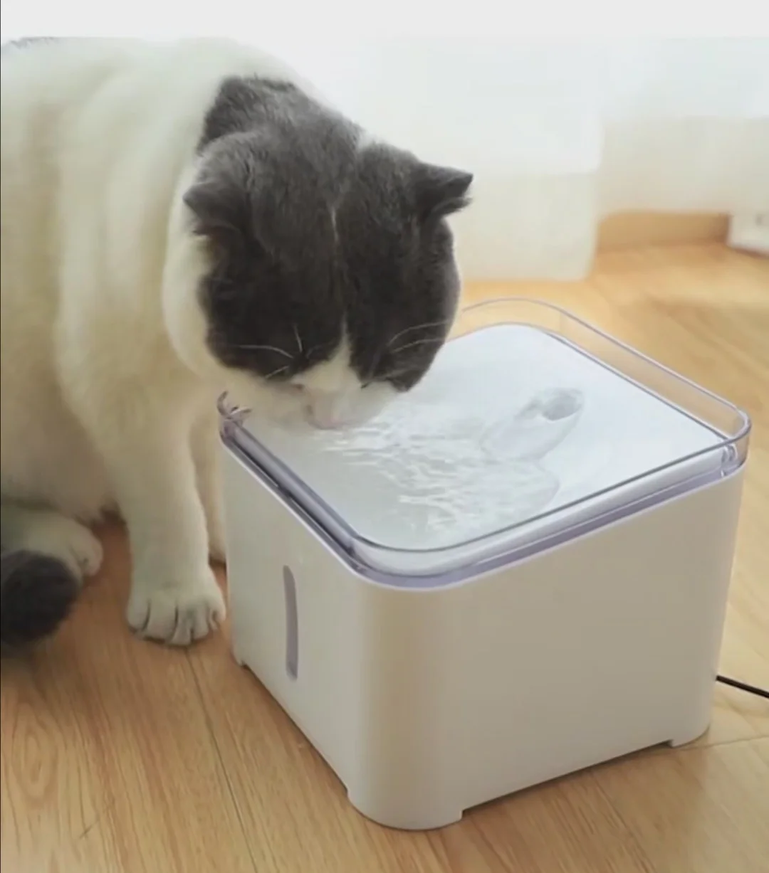 

Pet Water Fountain with Healthy Drinking for Cats and Medium Sized Dogs