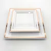 10" Plastic Disposable Square Dinner Plates with Silver Rim