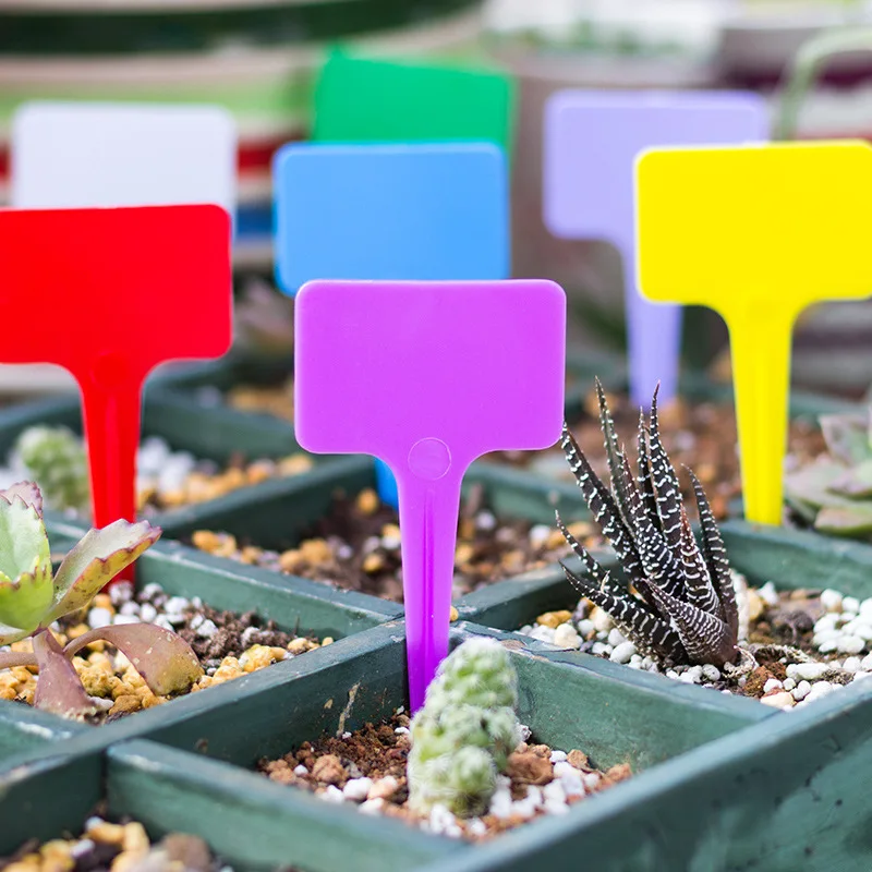 

Plastic Plant Labels Tags Garden Marker for Seed Trays and Pots Greenhouse Supplies, Red/white/yellow/green/blue/pink/orange/black/purple/brown
