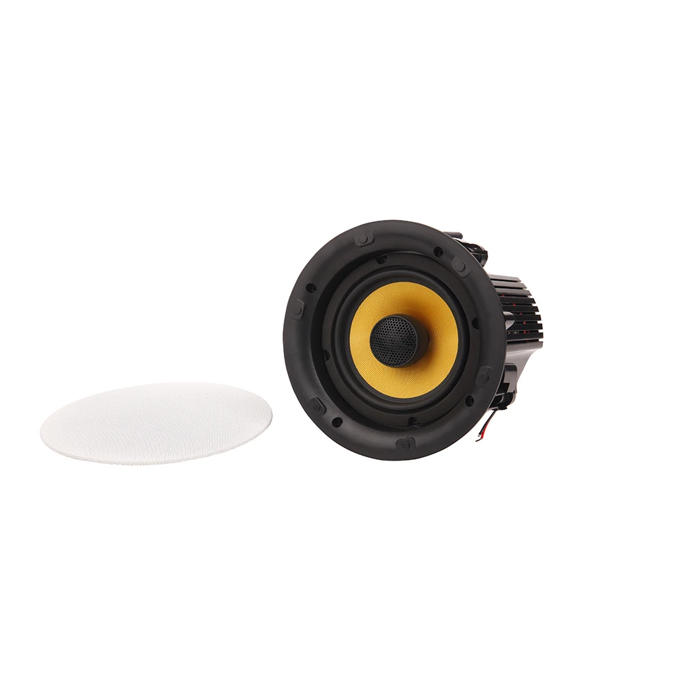 Hifi music WiFi connect Ceiling Speaker