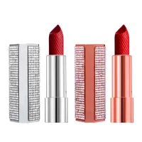 

2019 private label lipstick waterproof lipstick liquid matte lipstick