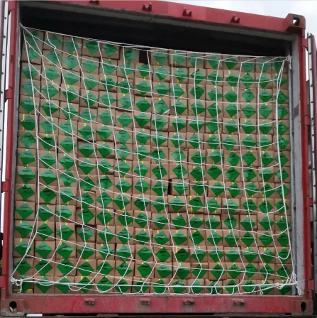 ful container picture
