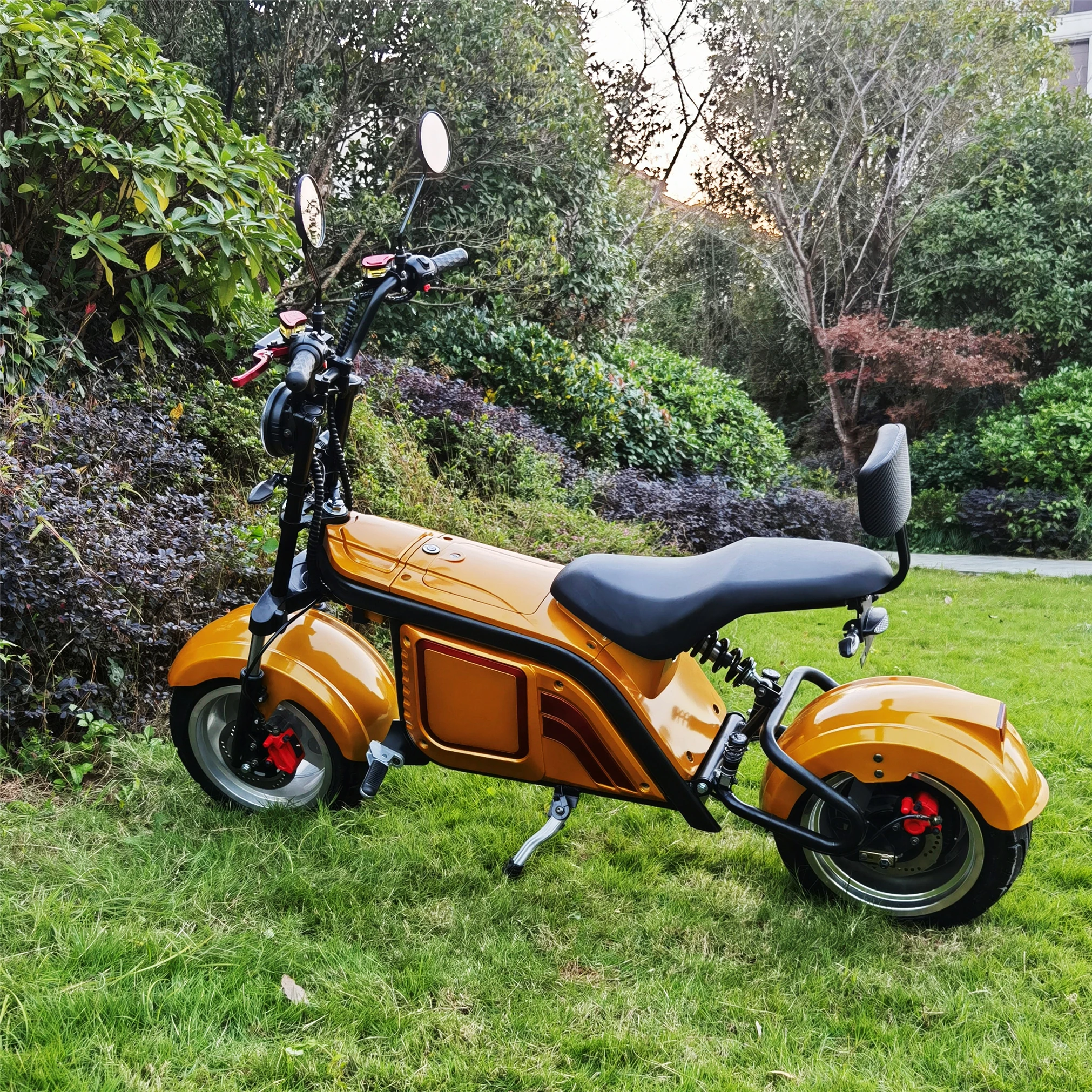 

Best Quality 2000W Chopper Model M1 With EEC/COC Certificate Side Box Fast Speed Electric Scooters Adult Citycoco