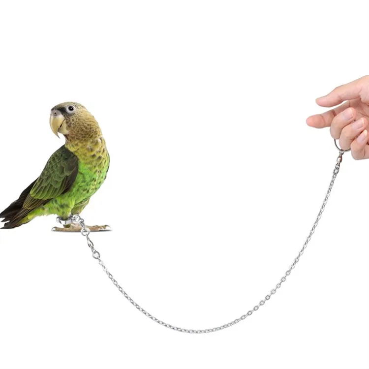 

Bird Ring Outdoor Flying Training Activity Opening Foot Ring Accessories Bird Supplies Metal Small animal toy Birds Feet Rings