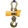 OCS 500kg crane weighing scale models