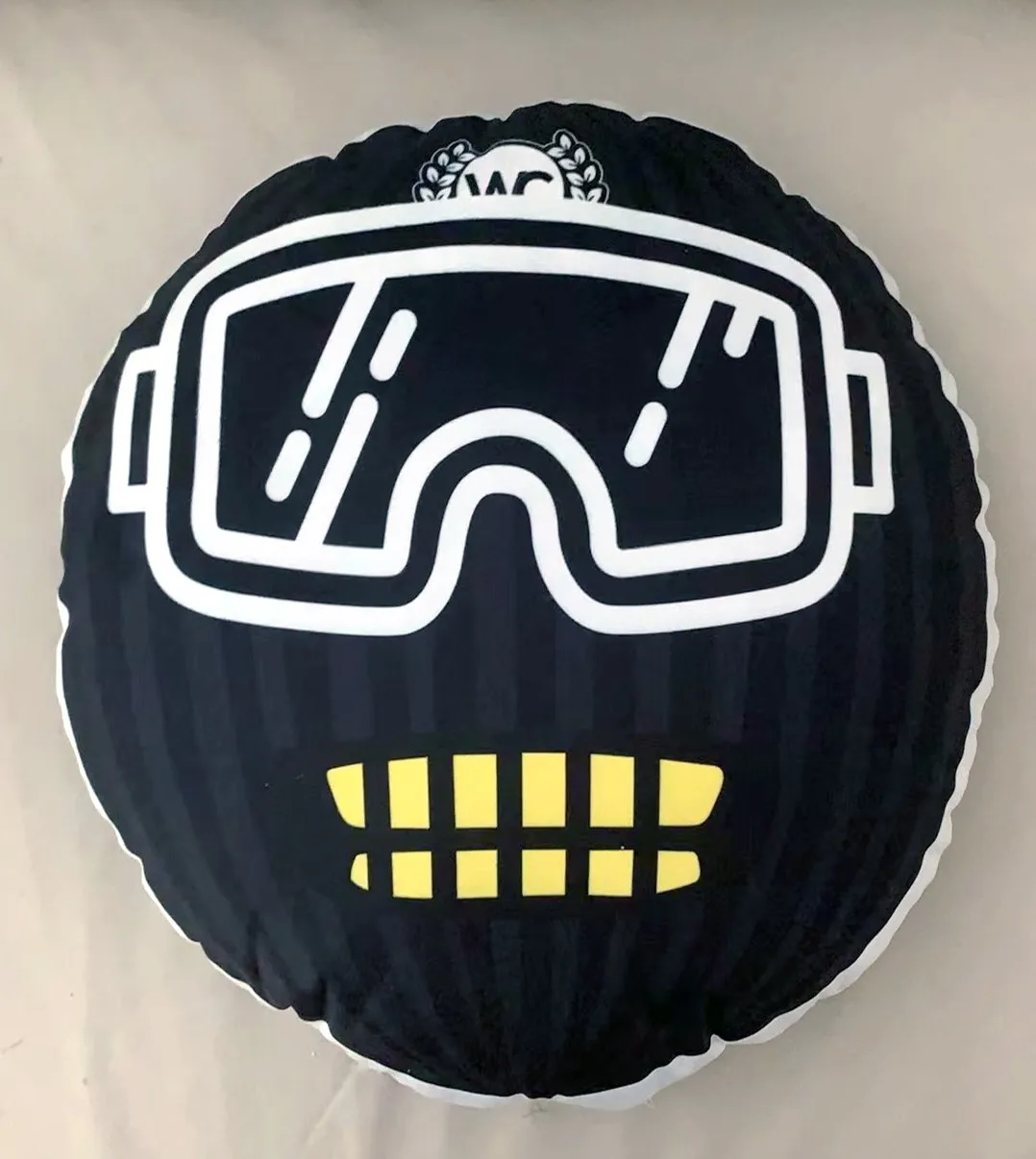 Custom Pillow