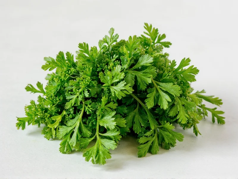 Best Parsley Substitutes: 8 Effective Alternatives for Cooking