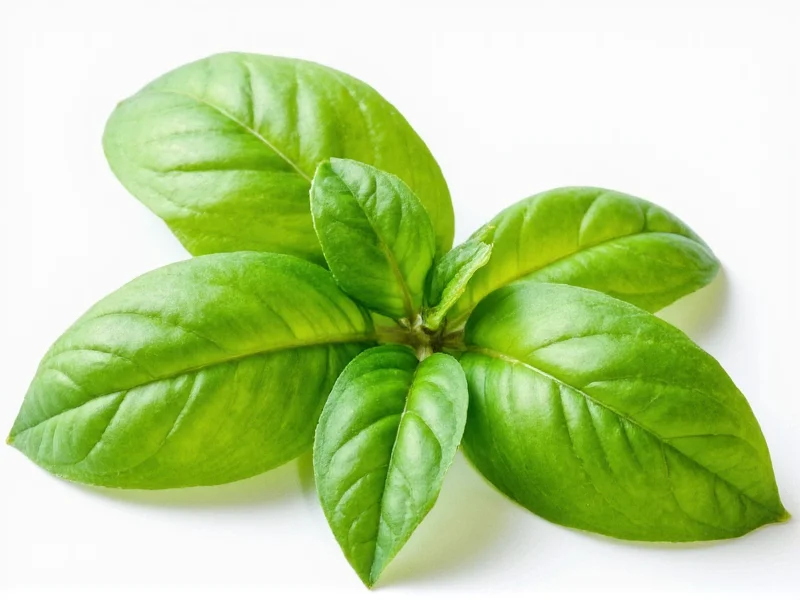 1/4 Cup Fresh Basil Equals 1 Tbsp Dried Basil: Exact Conversion