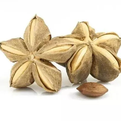 

Wholesale Supply Top Quality Bulk Natural Organic Sacha Inchi Oil 100% pure essential oil at Best Price