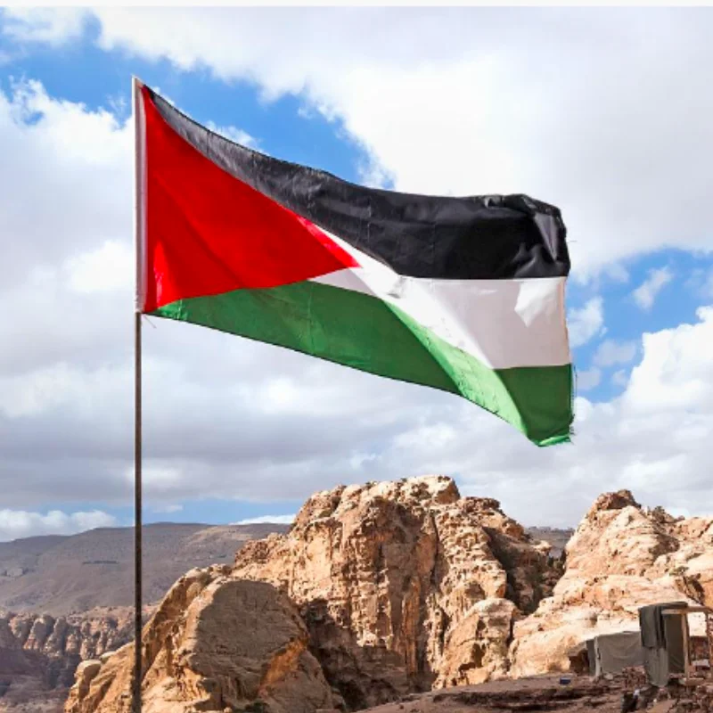 

Wholesale Free Palestine Flag 90x150cm 3x5ft 100% Polyester Palestine Flag National Country Flag