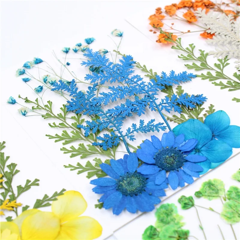 

M028 Hot Floral Dried Pressed Flowers Mixed Pack Real Natural Dry Pressed Flower For Wedding Art Card Making Scrapbooking Crafts