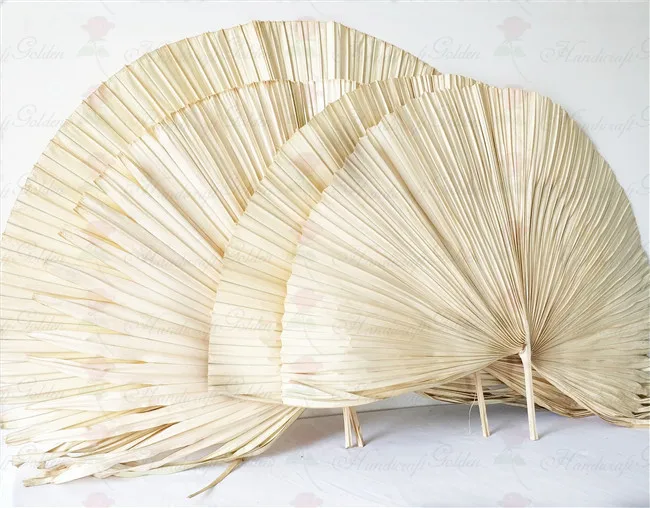 Wholesale Dried Fan Palm Leaves For Wedding Decoration