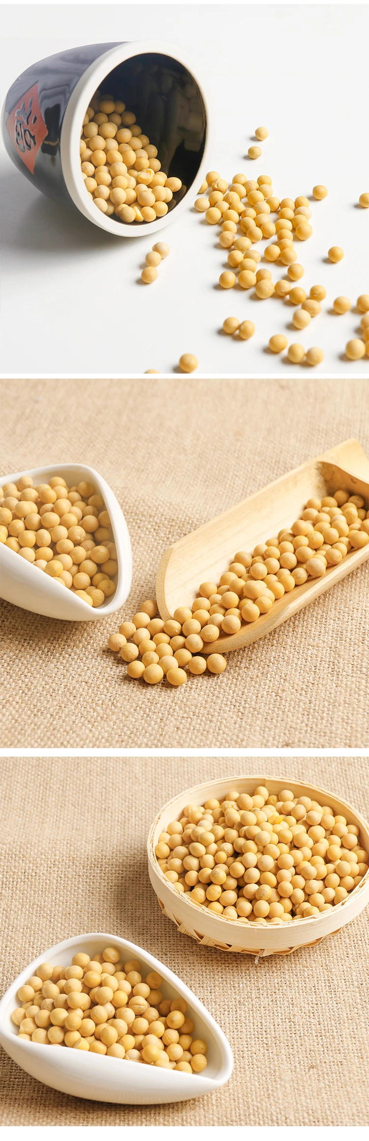 High Quality Non Gmo Soybean Soya Beans For Oil Plant