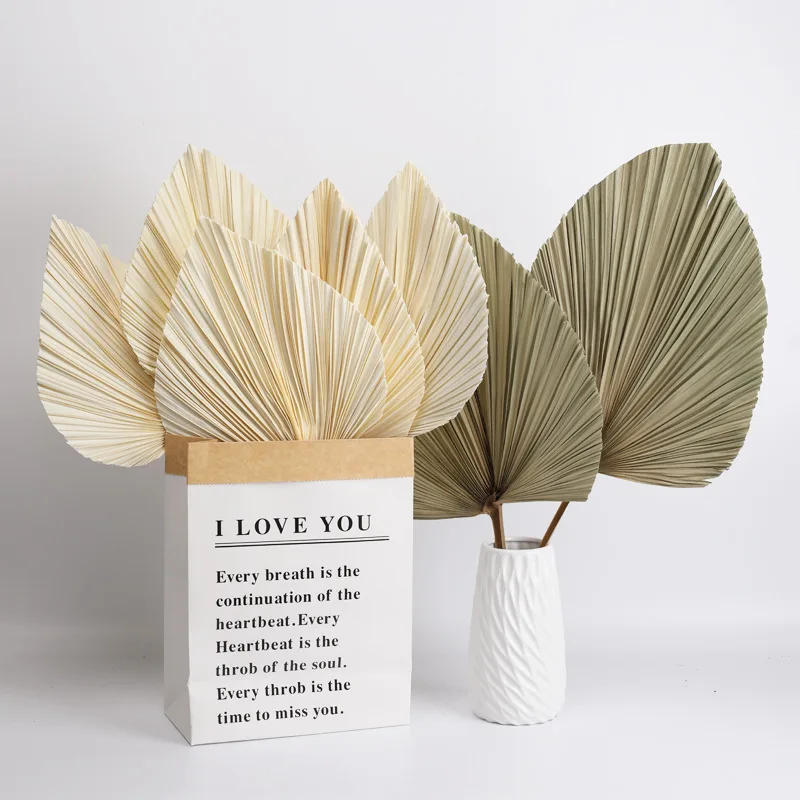 

O-X622 Wholesale Cheap Natural Dried Palm Leaves DIY Flower Arrangement Accessories White Green Palm Leaves Dry for Home Wedding