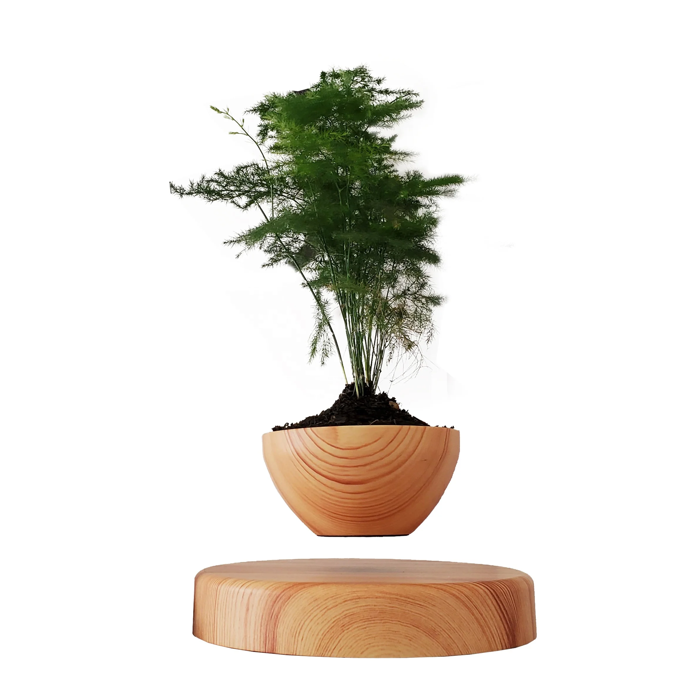 

Good Catch!Magnetic Levitation Wooden Bonsai Floating Flowerpot Creative Gift for Holiday&Birthday or Indoor Decoration by HCNT, Light wooden grain,medium wooden grain,deep wooden grain