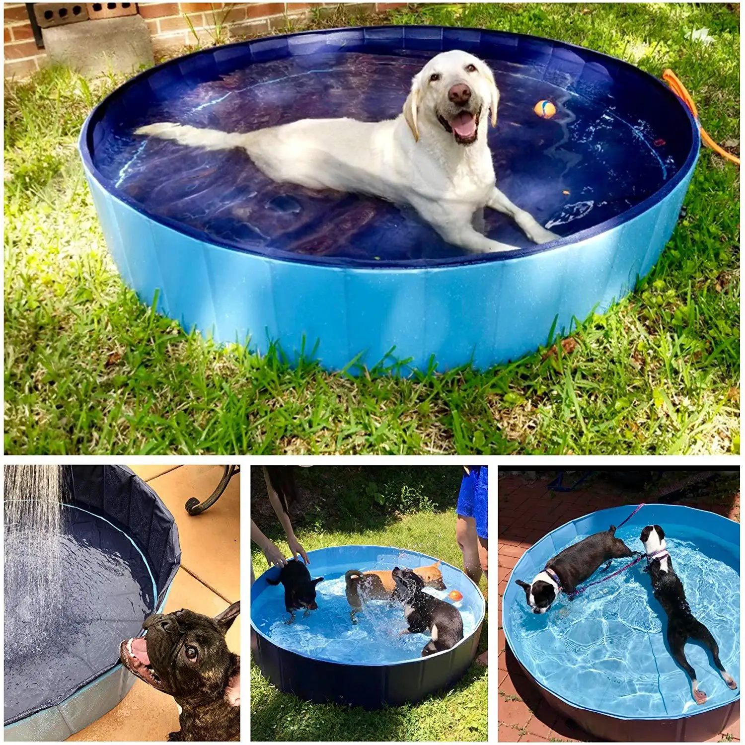 

Professional funny swimming dog pool for Outdoor Swimming bathtub Pool for Large Small Dogs, Blue, red