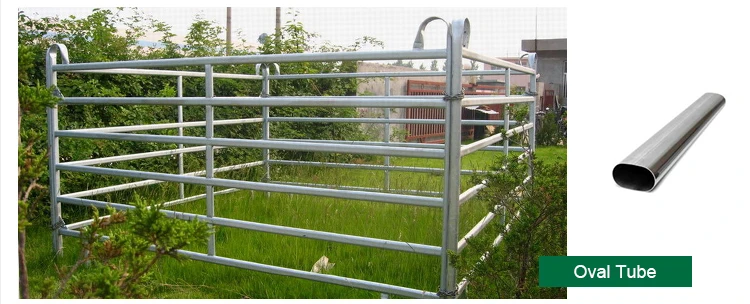 latest company news about Livestock galvanized metal used cattle yard corral fence panels 2*2.1m for horse  1