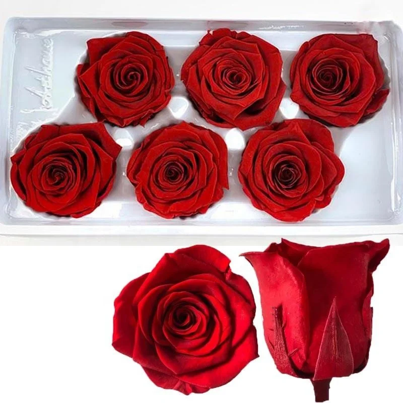 

Wholesale Preserved Flowers And Plants Real Flower Natural 5-6 cm Preserved Roses Bud For Diy Floral Arrangements Bouquets