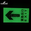 Eco Solvent Printing Glow In The Dark Photoluminescent Vinyl Rolls