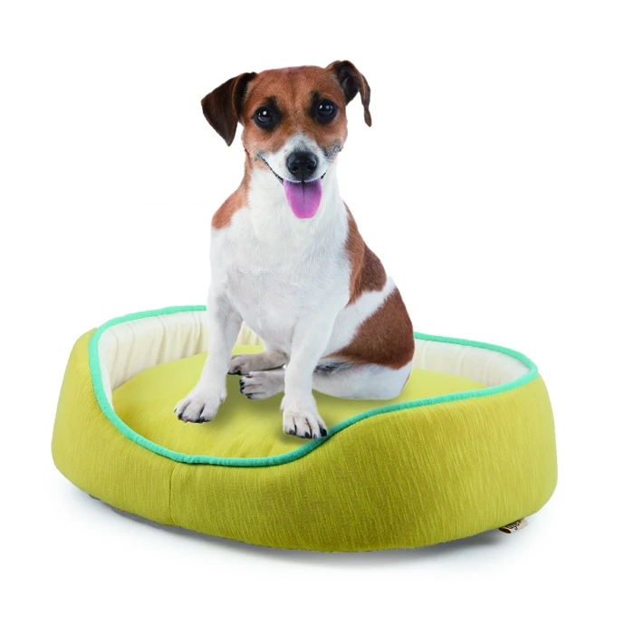 

All-For-Paws High Quality Washable Pet Furniture Pups Bed Orthopedic Dog Bed, Green/blue