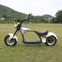 

mangosteen citycoco electric scooter Rooder r804-m1