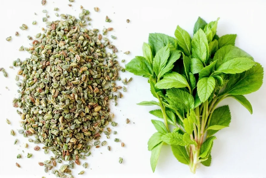 dried vs fresh herbs the ultimate ratio guide for every home cook