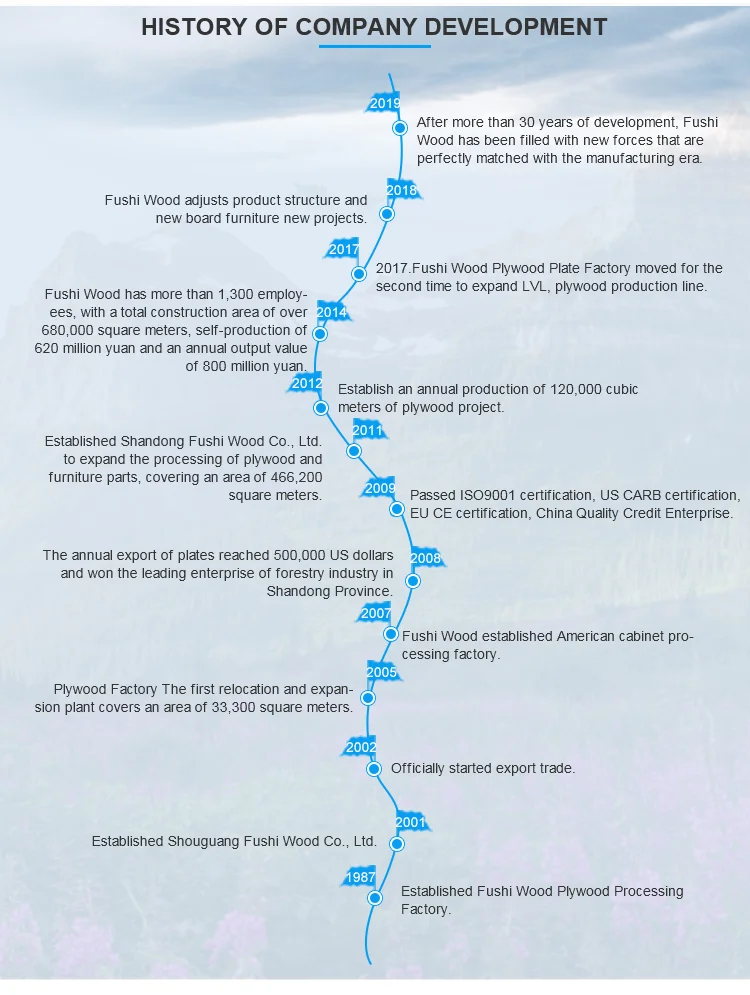 Cheap Factory Price double faced melamine particle board for furniture 20mm with manufacturer