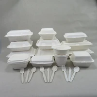 

Sugarcane Bagasse Disposable Packaging Boxes