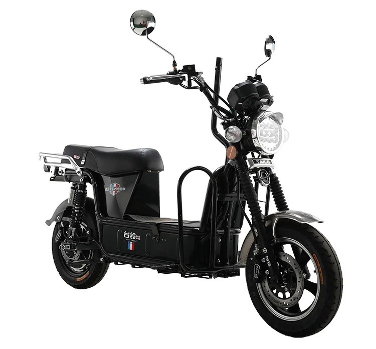 electric bike cargo