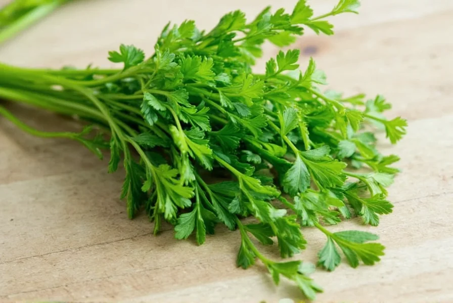 Dried and fresh parsley side by side