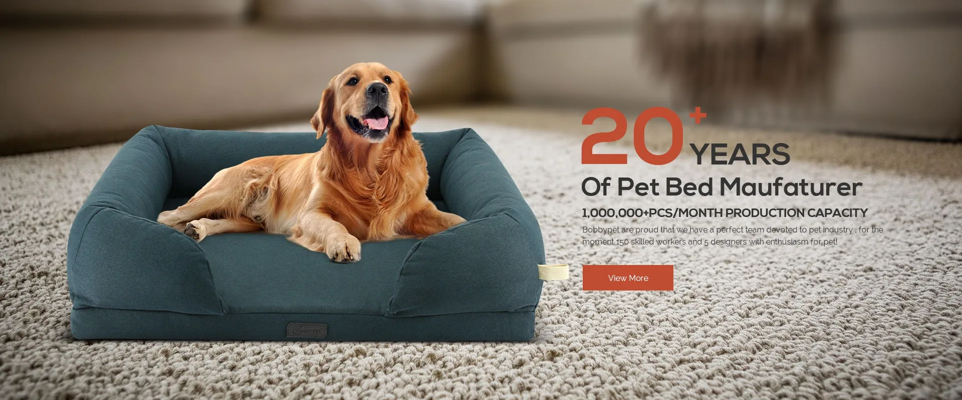 Ultra-Soft Warm Pet Bed Sofa Water Resistant with Removable & Washable Cover XIAOO Pet Bed for Dogs and Cats 