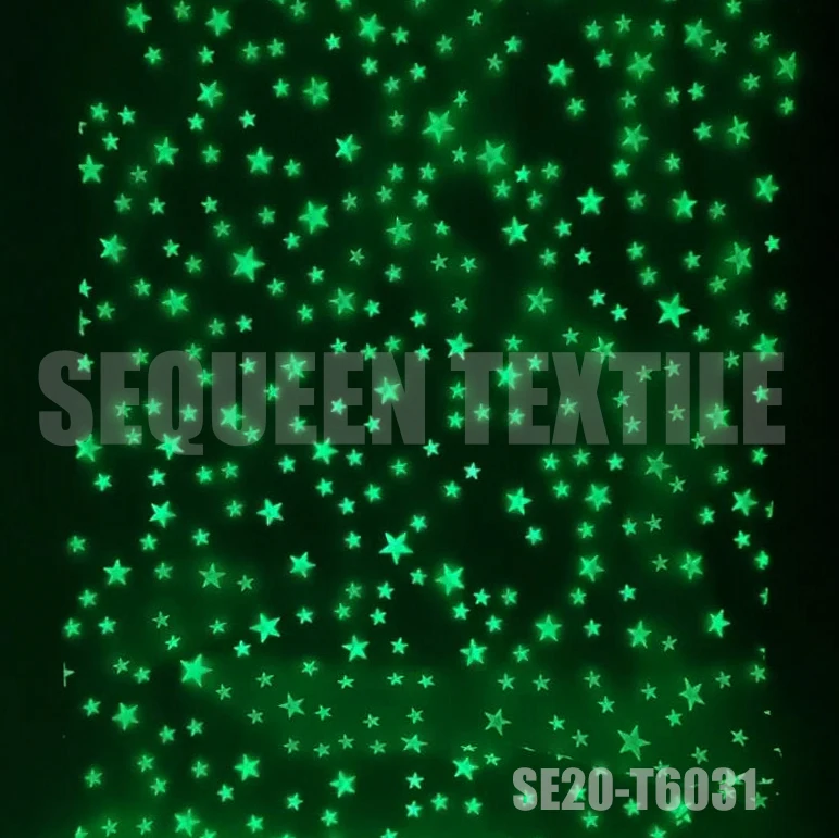 SE20-T6031 Light  in Dark..jpg