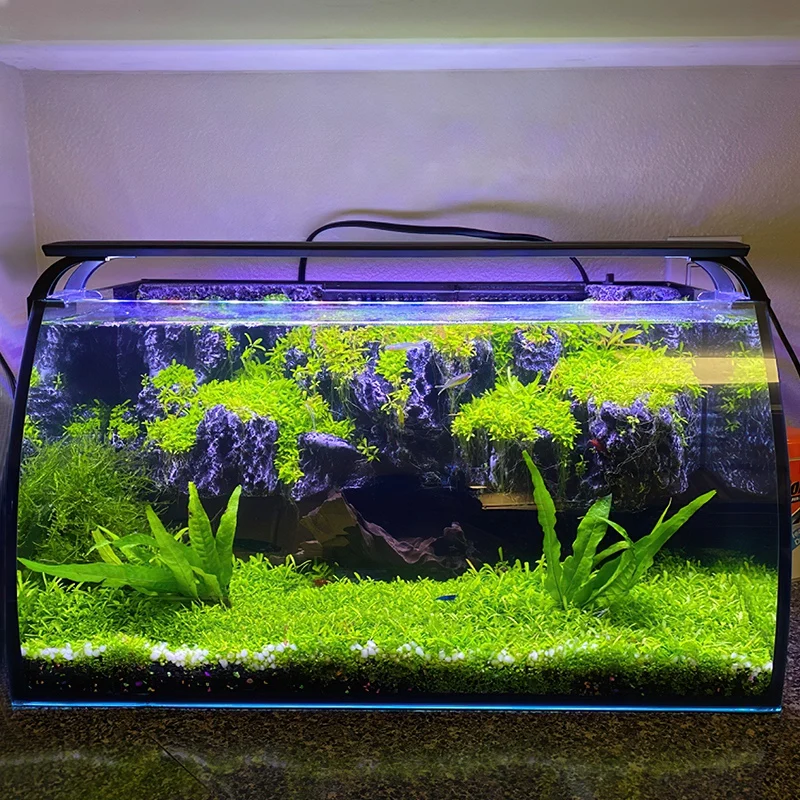 

Hygger 8 Gallon LED Glass Aquarium fish tank including 7W Power Filter Pump, 18W Colored led Light, aquarium fish tank