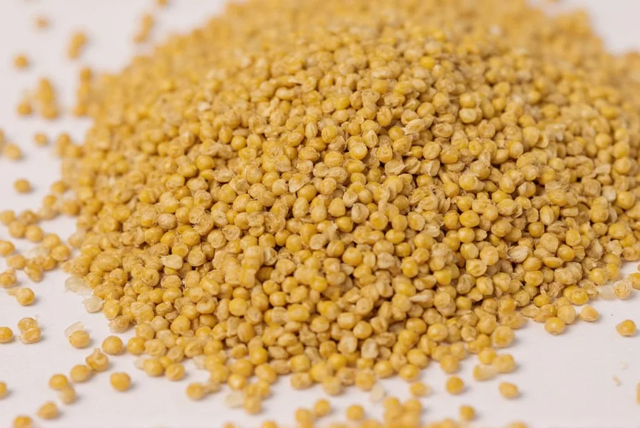 The Little Mustard Seed: Biblical Meaning and Significance