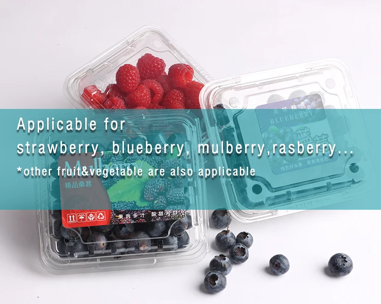 application berry
