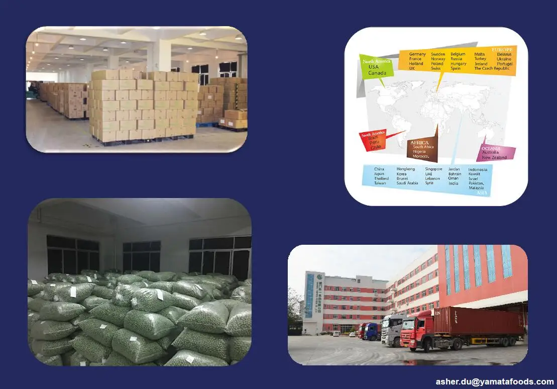 Warehouse and Delivery