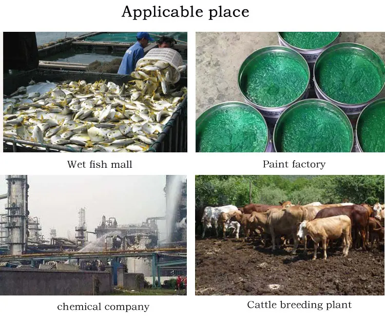 Cattle Scale 500kg Horse And Equine Weighing Scales Dog With Stainless