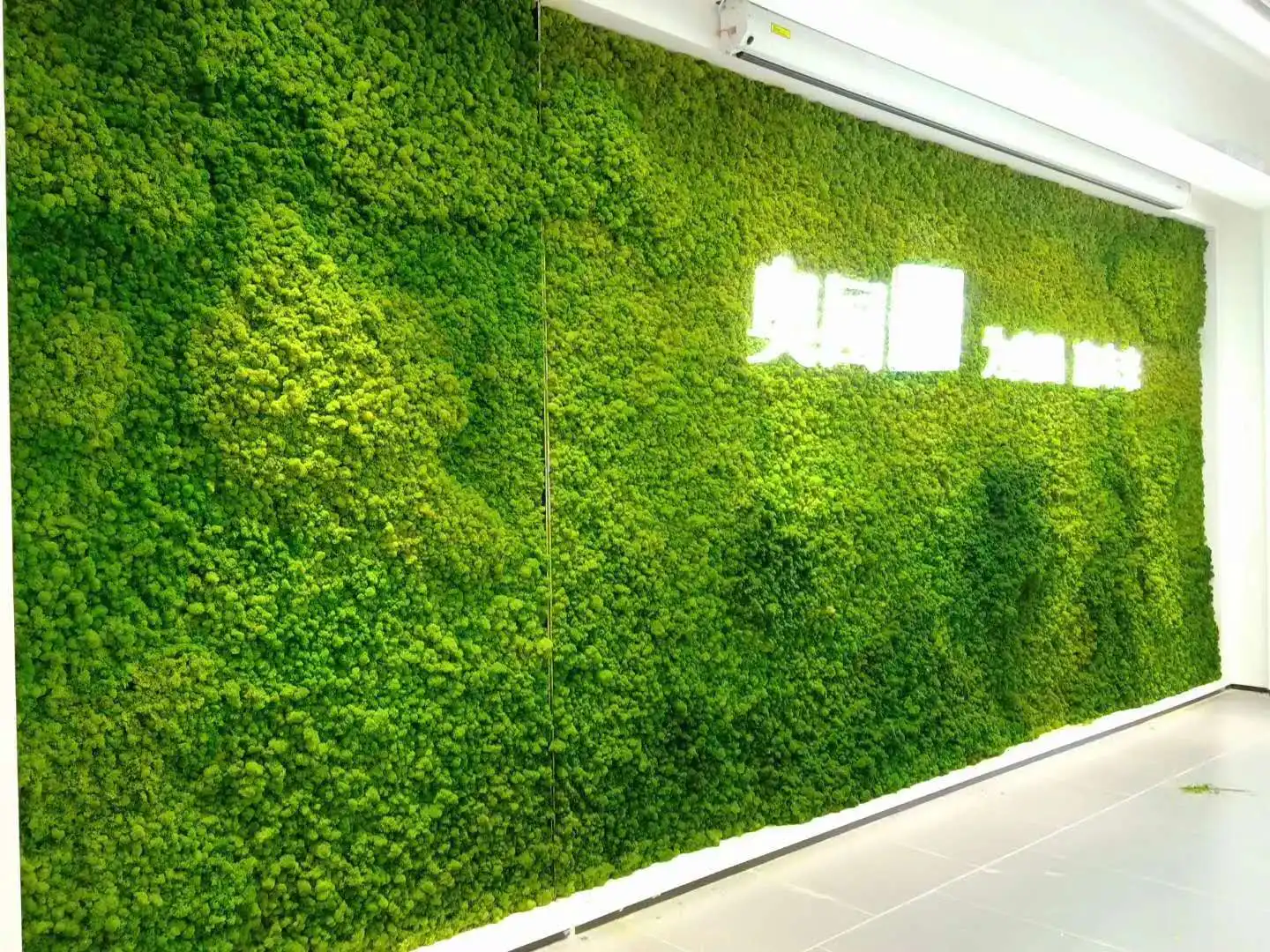 Fcr901 Wholesale Aquarium Moss Stabilized Artificial Moss Wall