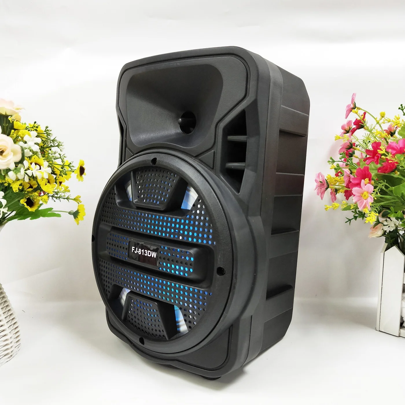 

FJ-813DW Factory wholesale 8 inch dj speaker high capacity surround sound outdoor big speaker