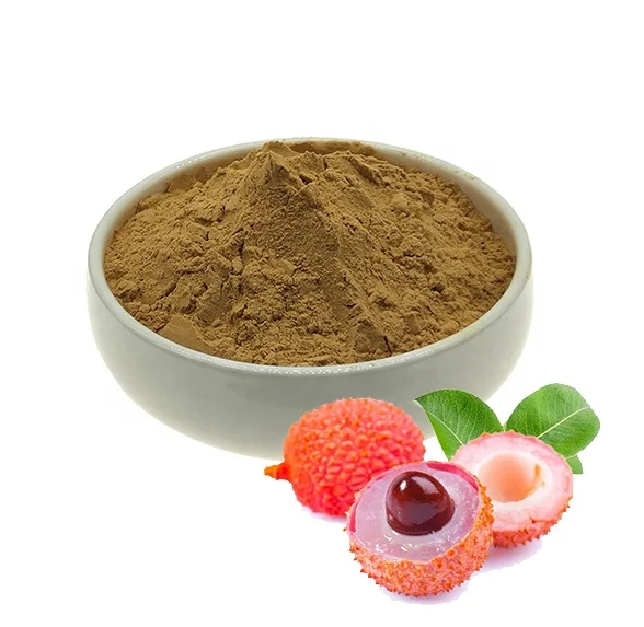 

Free Shipping Lychee Seed Extract Powder Litchi Seed Extarct Powder Sample 100g
